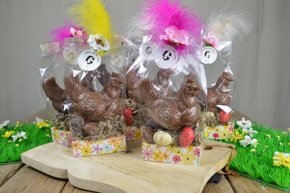 Kipje op eitjes 2026 1 (Middel).JPG
